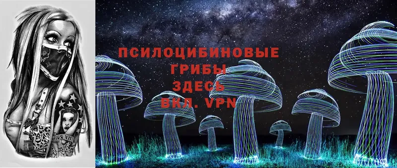 Псилоцибиновые грибы Cubensis  МЕГА зеркало  Пугачёв 